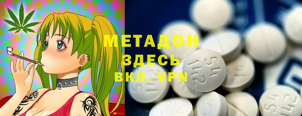 стаф Алзамай
