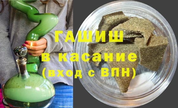 стаф Алзамай