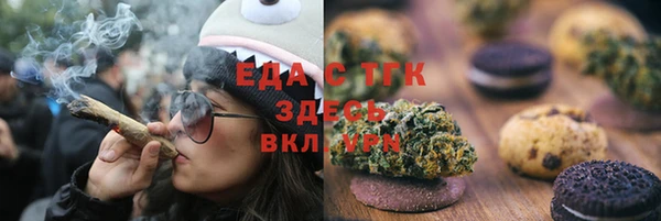 стаф Алзамай