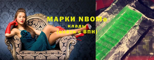 стаф Алзамай