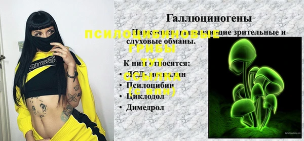 стаф Алзамай