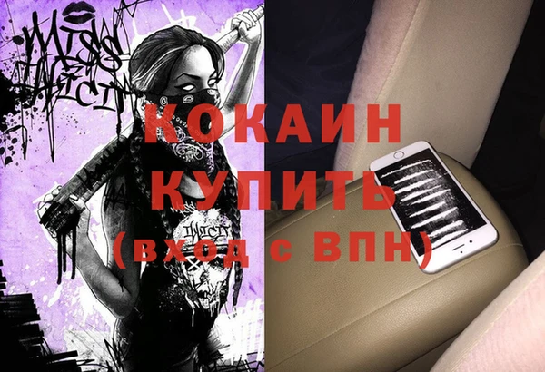 стаф Алзамай