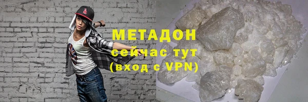 стаф Алзамай